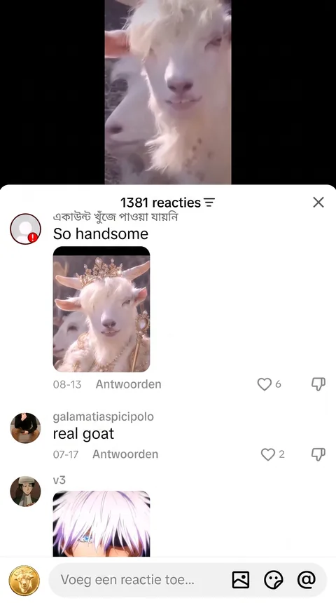 TikTok comments on the goat video: 1381 reactions, top comment reads “So handsome”